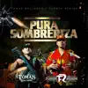 Pura Sombreriza (feat. Fuerza Regida) song lyrics