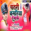 Patari Kamariya Dikhake - Single album lyrics, reviews, download