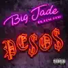 Pesos (feat. Peso Peso) - Single album lyrics, reviews, download