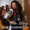 Lasa Doamne Dor - Single