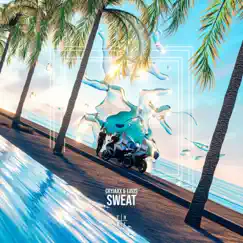 Sweat - Single by CryJaxx & ERVIS album reviews, ratings, credits