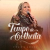 Tempo de Colheita - Single