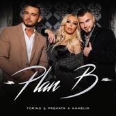 Plan B (feat. Kamelia) artwork