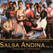 Salsa Andina, Vol. 2 artwork
