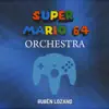 Cool, Cool Mountain (From "Super Mario 64") - Single album lyrics, reviews, download