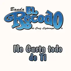 Me Gusta Todo de Ti - Single by Banda El Recodo de Cruz Lizárraga album reviews, ratings, credits