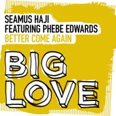 Better Come Again (Extended Mix) [feat. Phebe Edwards] artwork