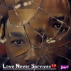 Love Never Survives