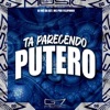 Ta Parecendo Putero - Single
