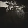 Black Sheep II - Single album lyrics, reviews, download