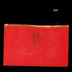 AMNESIAC cover art