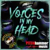 Voices In My Head album lyrics, reviews, download