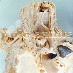 IN RIBBONS cover art