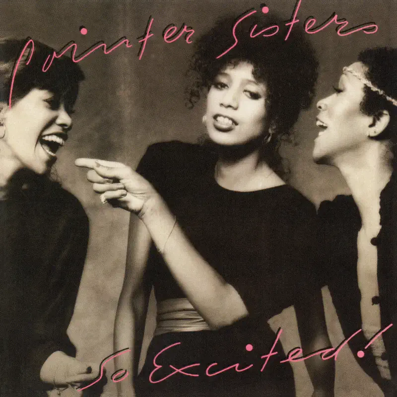 The Pointer Sisters - So Excited! (Expanded Edition) (1982) [iTunes Plus AAC M4A]-新房子