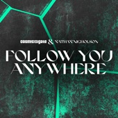 Follow You Anywhere (Extended Mix) artwork