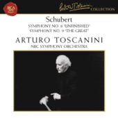 Schubert: Symphonies Nos. 8 & 9 artwork