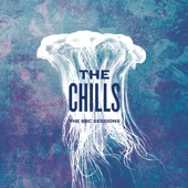 The Chills - Night of Chill Blue