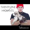 Twenty One Hydrants (Stressed out Parody) - Single album lyrics, reviews, download