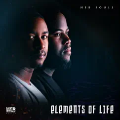 Elements of Life by MFR Souls album reviews, ratings, credits