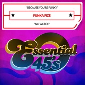 Funka Fize - Because You're Funky