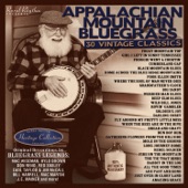 Appalachian Mountain Bluegrass artwork