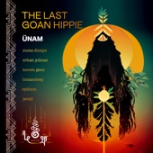 The Last Goan Hippie (Erhan Yilmaz Remix) artwork