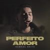 Perfeito Amor - Single