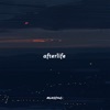 Afterlife - Single