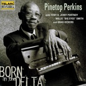 Pinetop Perkins - Everyday I Have The Blues