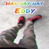 Hay Hay Hay - Single