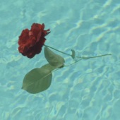 A Rose... artwork