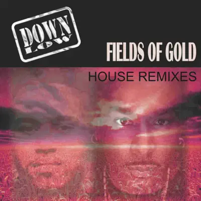 Fields of Gold (Remixes) - EP - Down Low