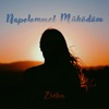 Napelemmel működöm - Single