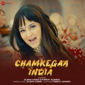 Chamkegaa India artwork