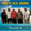 Voqa Ni Delai Dokidoki, Vol. 6