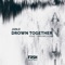Drown Together (feat. Thriving Ivory) - Janji lyrics