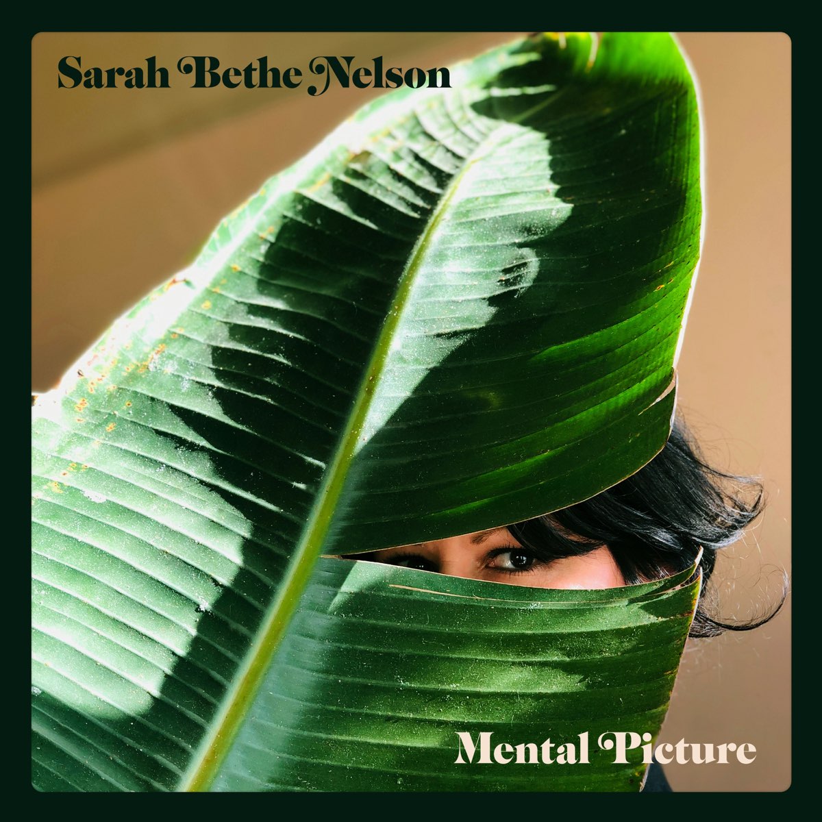 mental-picture-by-sarah-bethe-nelson-on-apple-music