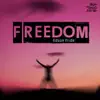 Freedom (2K17 Remixes) album lyrics, reviews, download