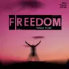 Stream & download Freedom (2K17 Remixes)