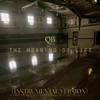 The Meaning of Life (Instrumental Version)