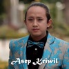 Turu Ning Pawon - Single