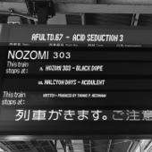 Acid Seduction 3 : Nozomi 303 artwork