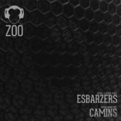 Esbarzers (Remix) artwork