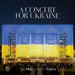 The Metropolitan Opera Orchestra & Yannick Nézet-Séguin - Adagio for Strings, Op. 11