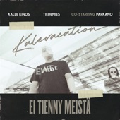 Ei tienny meistä (feat. Parkano) artwork