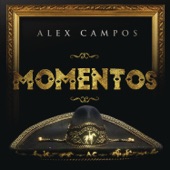 Momentos artwork