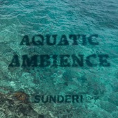 Aquatic Ambience artwork