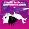 I Wanna Be Yours x Summertime Sadness - Remake Cover song lyrics