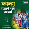 Kanha Barsane Mein Aa Jaiyo - Single
