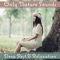 Beautiful Moments - Zen Relaxation Academy lyrics